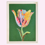 Framed 'Tulip' by The Full Montage