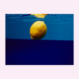 'Lemon' by Claudia Legge